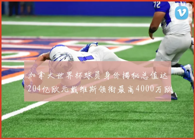 加拿大世界杯球员身价揭秘总值达204亿欧元戴维斯领衔最高4000万欧